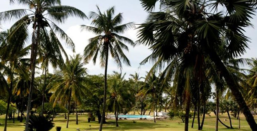 Lawford's Resort 4* + Safari