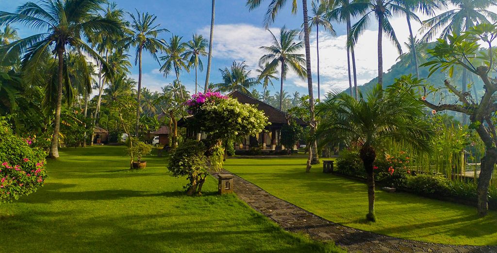 Combinato le perle di Bali: Candidasa, Pelaga, Lovina e soggiorno mare a Uluwatu