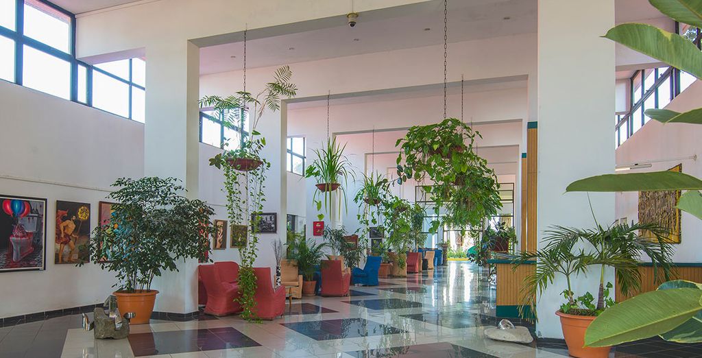 Melià Habana 5* e Melia Cayo Coco Resort 5*