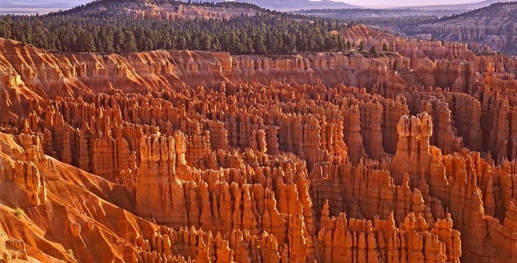 Tour USA: alla scoperta dell'Ovest