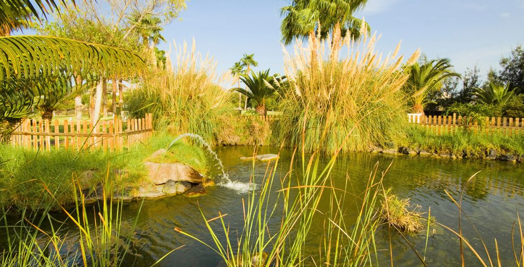THB Tropical Island 4*