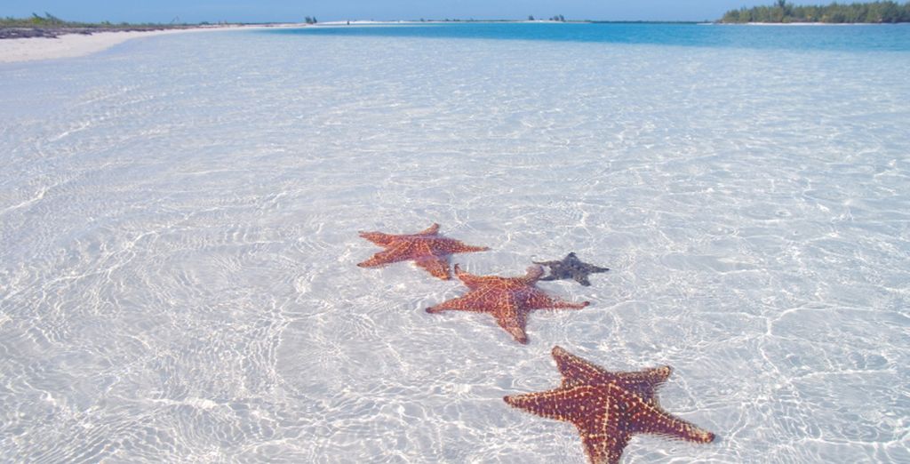 Memories Miramar Avana 4* + Blau Privilege Cayo Libertad 5*