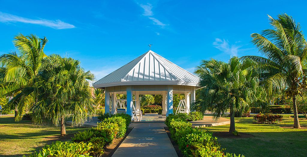 Memories Miramar Avana 4* + Blau Privilege Cayo Libertad 5*