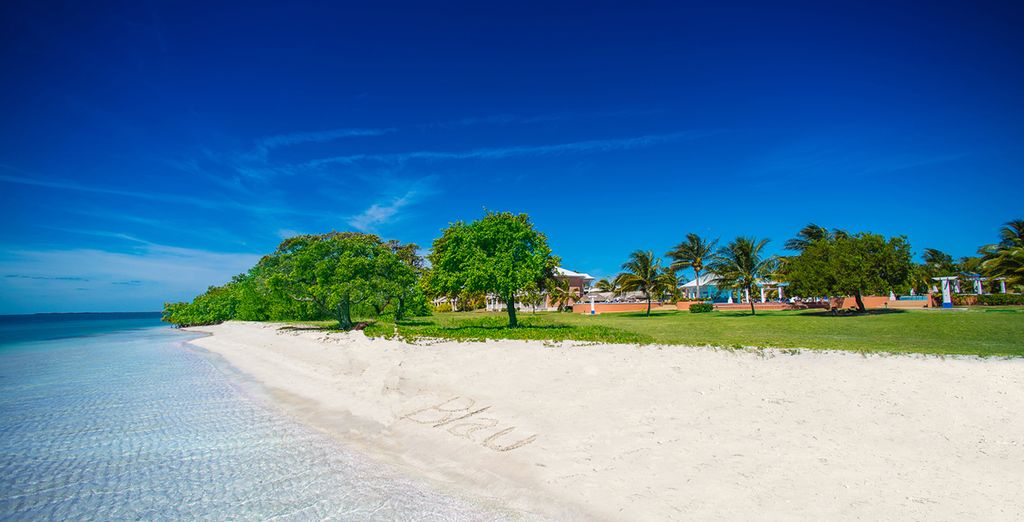 Memories Miramar Avana 4* + Blau Privilege Cayo Libertad 5*