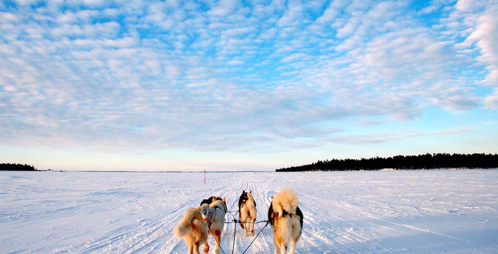 Lapponia Finlandese