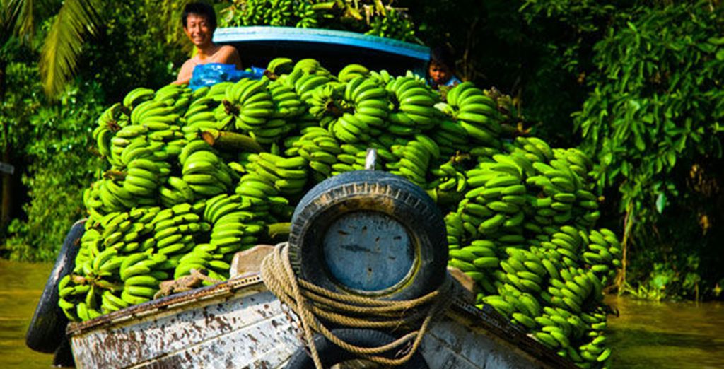 Tour Vietnam del Sud + Soggiorno mare a Phan Thiet