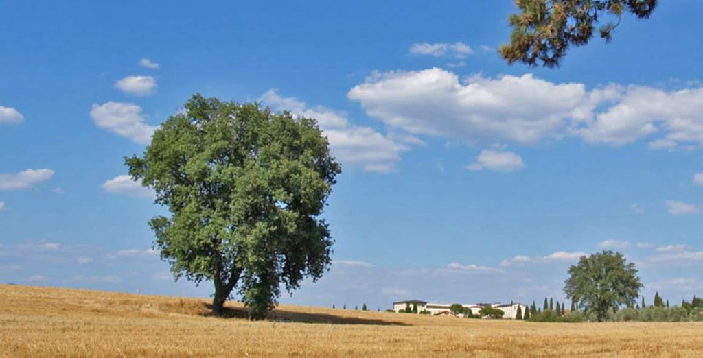 Hotel Montaperti 4*