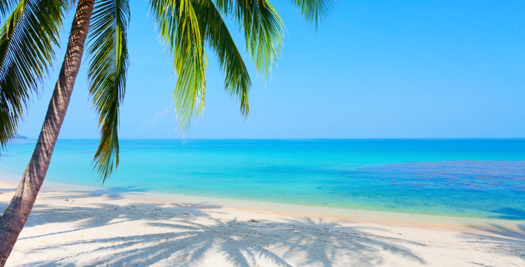 Hotel Century Park e Hotel Chaba Cabana Beach Resort
