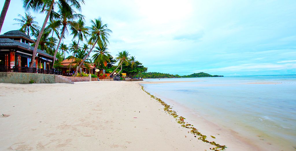 Hotel Century Park e Hotel Chaba Cabana Beach Resort