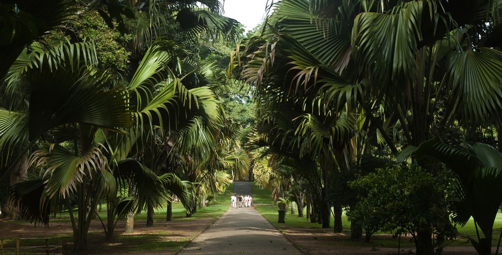 Minitour e soggiorno mare in Sri Lanka