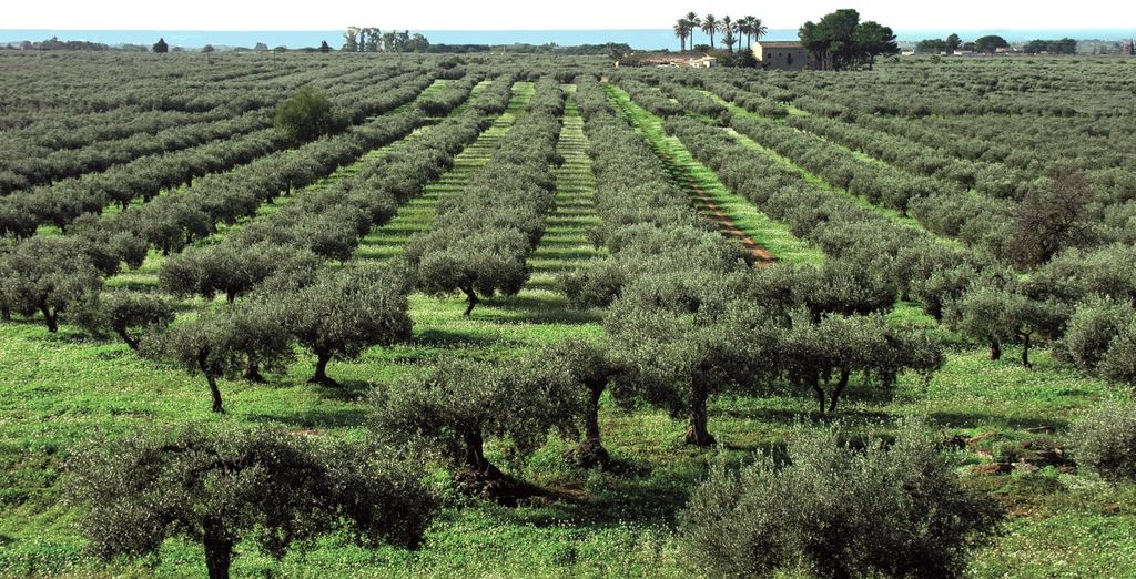 Agriturismo Case di Latomie 4*