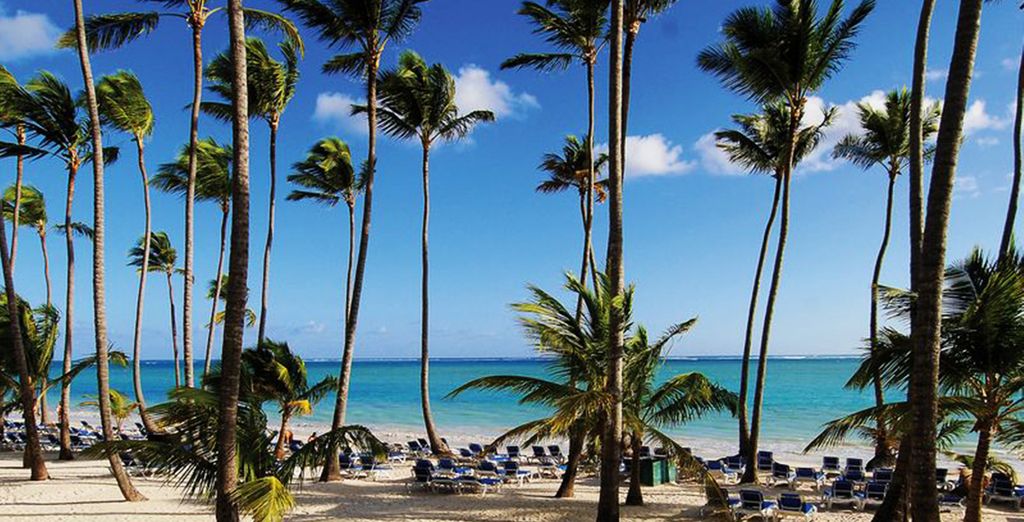 Barceló Bávaro Beach 5*