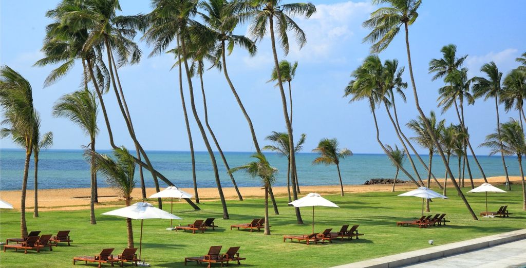 Minitour Colombo, Dambulla, Sigiriya e soggiorno mare a Chilaw