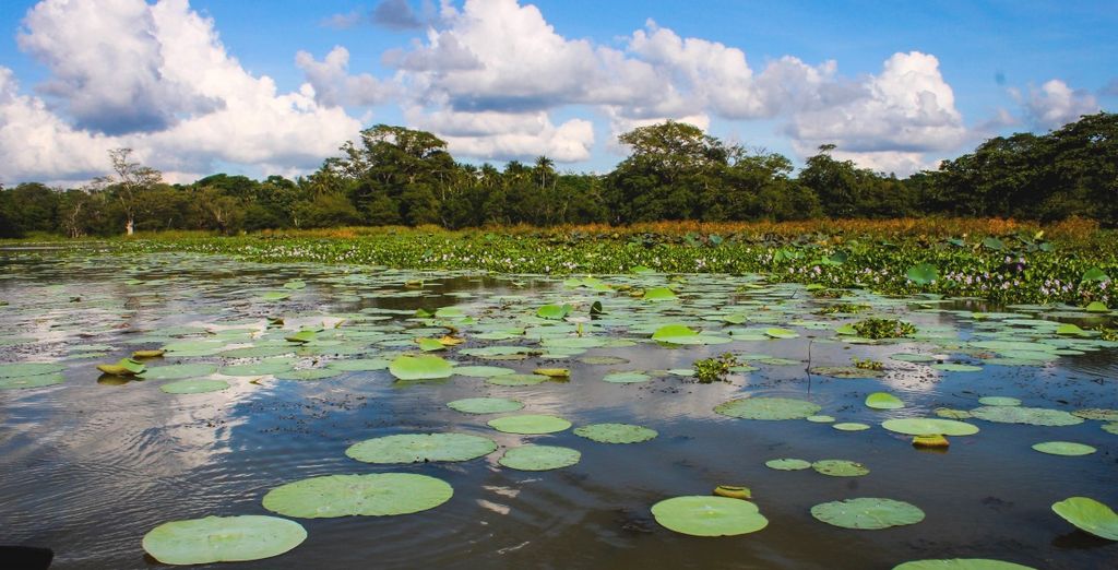 Minitour Colombo, Dambulla, Sigiriya e soggiorno mare a Chilaw