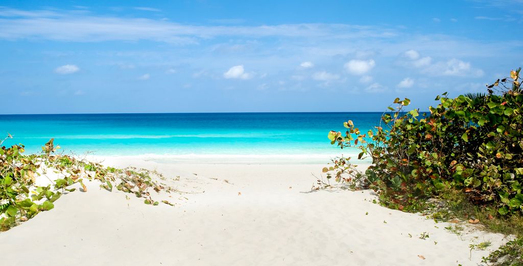 Tour Cuba: L'Avana, Trinidad, S.ta Clara e Cayo S.ta Maria