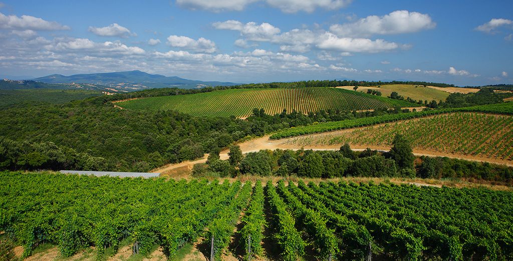 Pecora Vecchia - ColleMassari Hospitality 4*