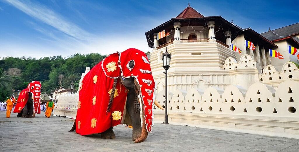 Minitour Sri Lanka + soggiorno mare a Beruwala