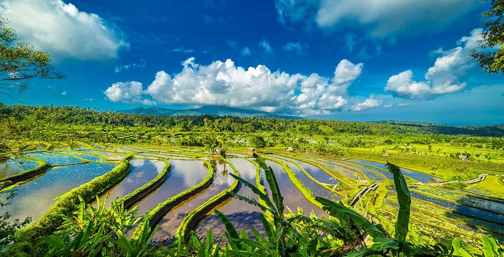 Tour Bali e Lombok