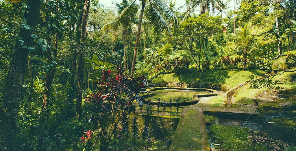 Tour Bali e Lombok