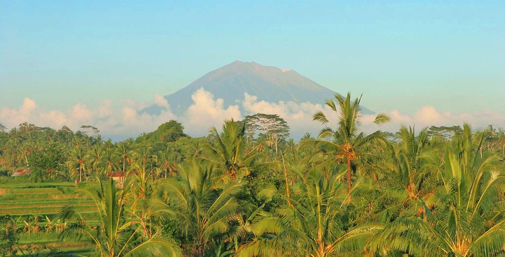 Tour Bali e Lombok
