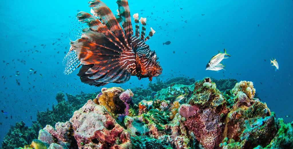 Tour Bali e Lombok