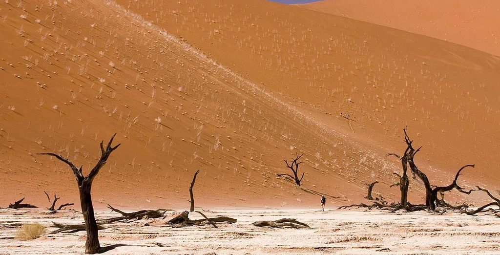 Namibia Fly & Drive - Partenze 2018