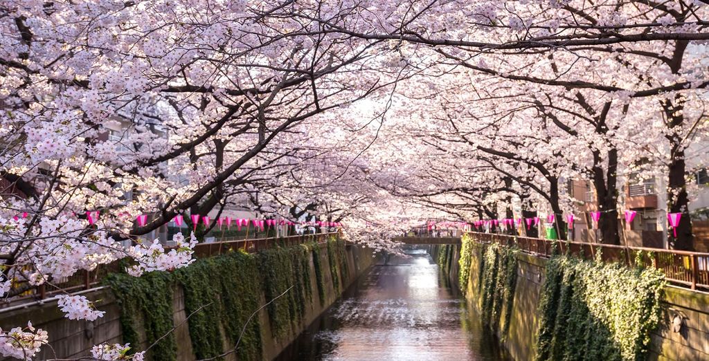 Le città simbolo del Giappone: combinato Tokyo & Kyoto