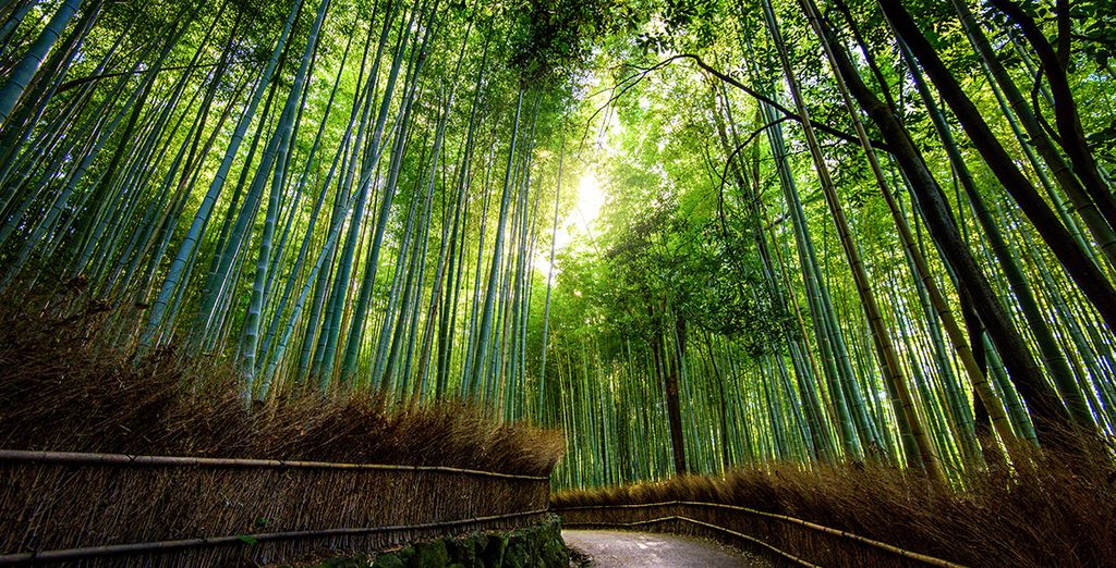 Le città simbolo del Giappone: combinato Tokyo & Kyoto