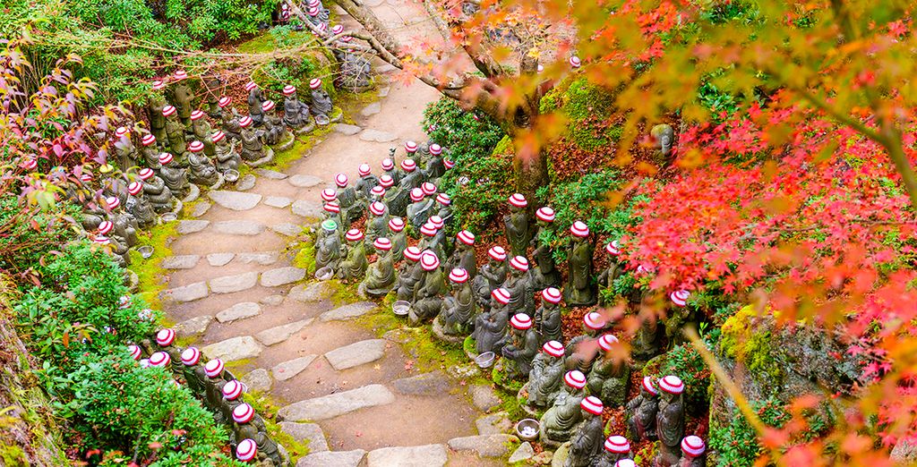 Le città simbolo del Giappone: combinato Tokyo & Kyoto