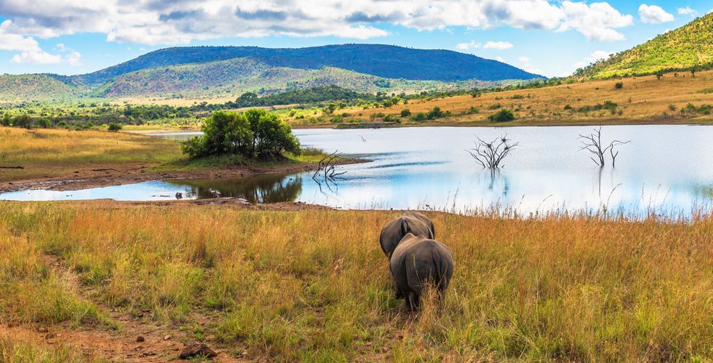 Circuito in Sudafrica & Radisson Blu Azuri Resort & Spa 5*
