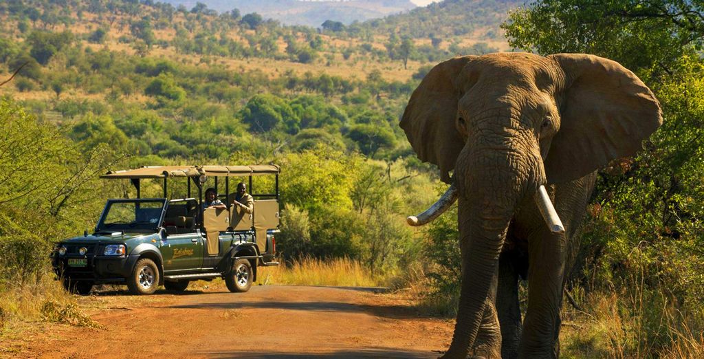 Circuito in Sudafrica & Radisson Blu Azuri Resort & Spa 5*