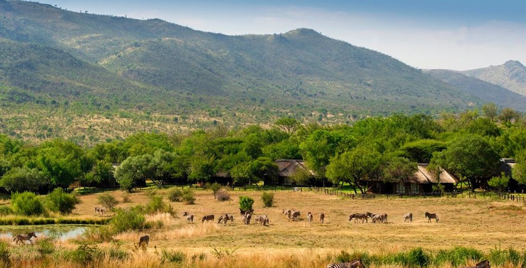 Circuito in Sudafrica & Radisson Blu Azuri Resort & Spa 5*