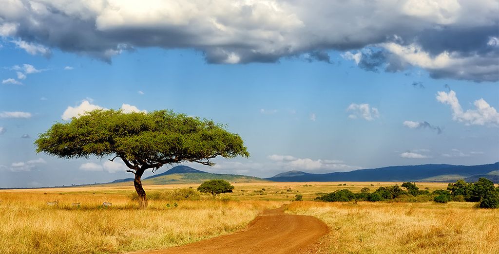 Circuito in Sudafrica & Radisson Blu Azuri Resort & Spa 5*