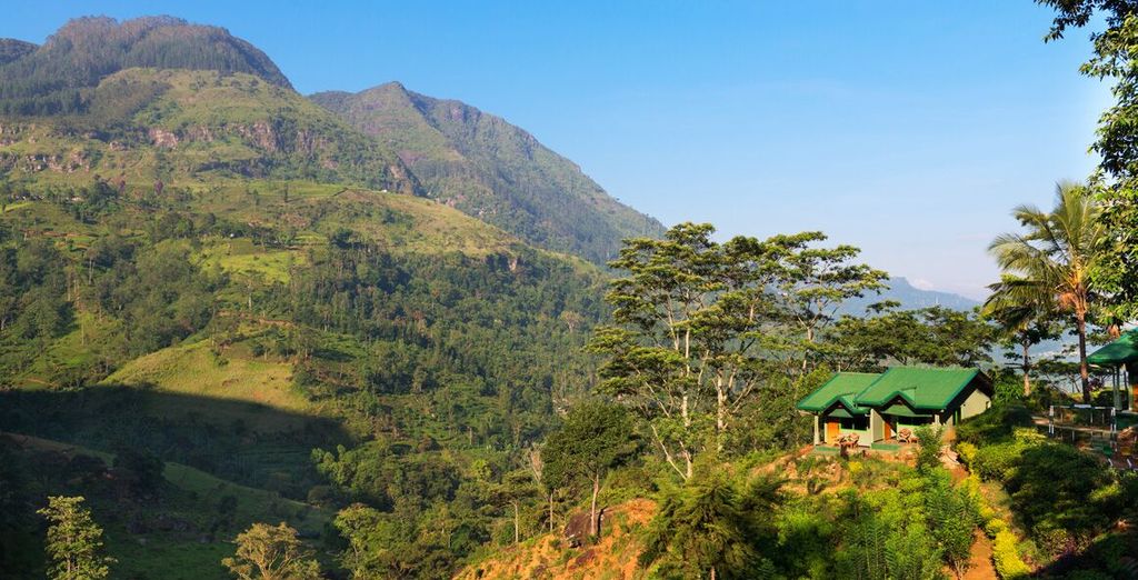 Tour alla scoperta dello Sri Lanka: da Colombo alla costa est