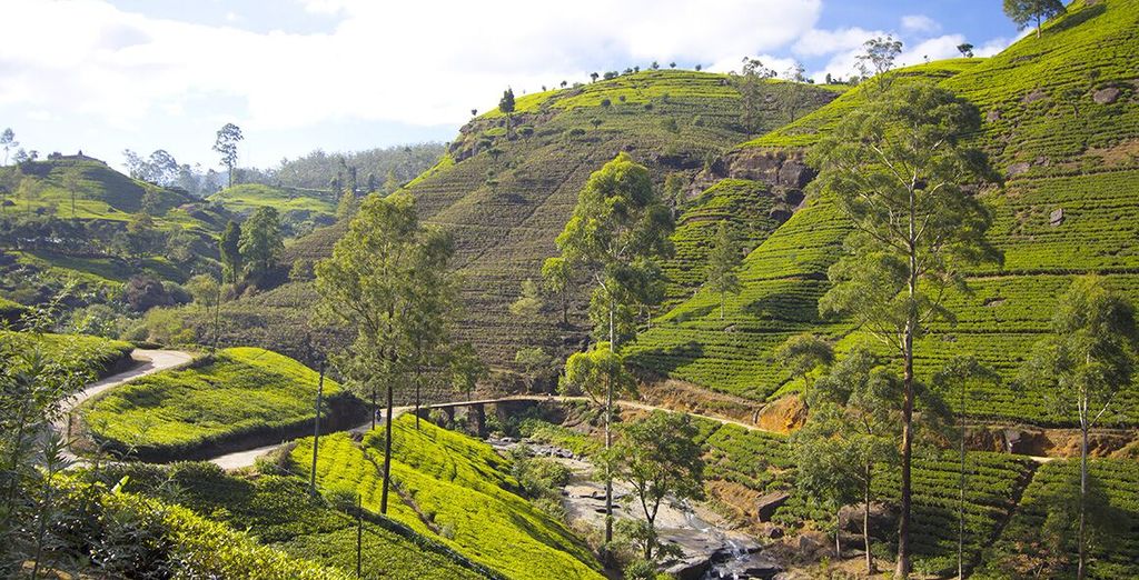 Tour alla scoperta dello Sri Lanka: da Colombo alla costa est