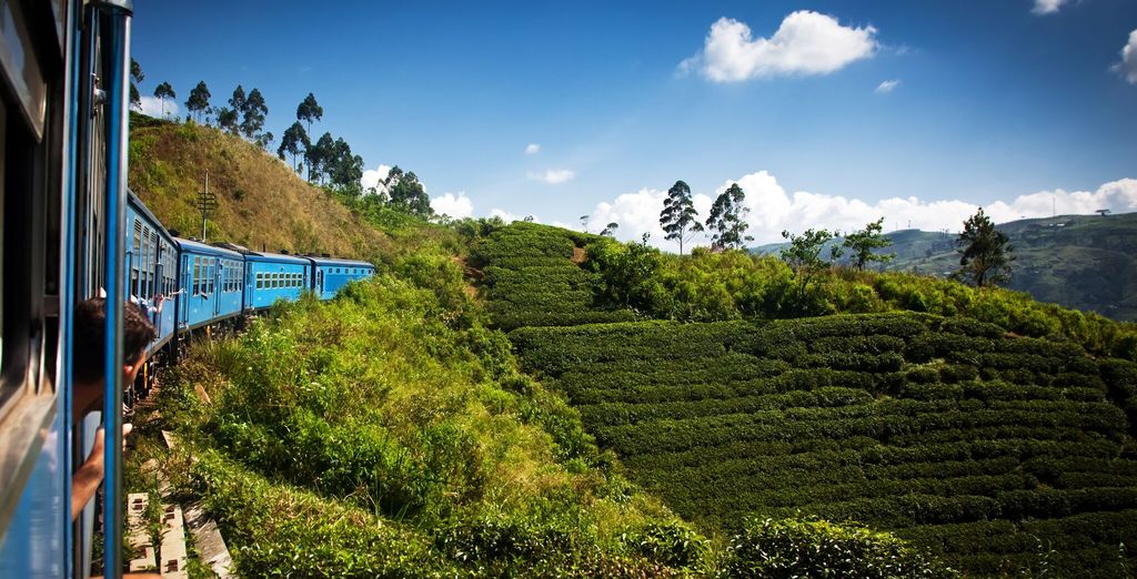 Tour alla scoperta dello Sri Lanka: da Colombo alla costa est