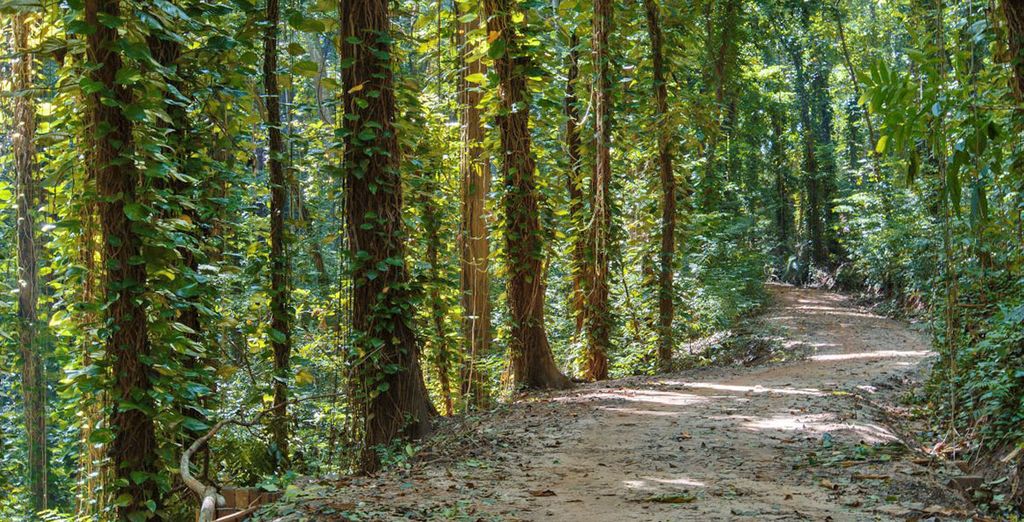 Tour alla scoperta dello Sri Lanka: da Colombo alla costa est