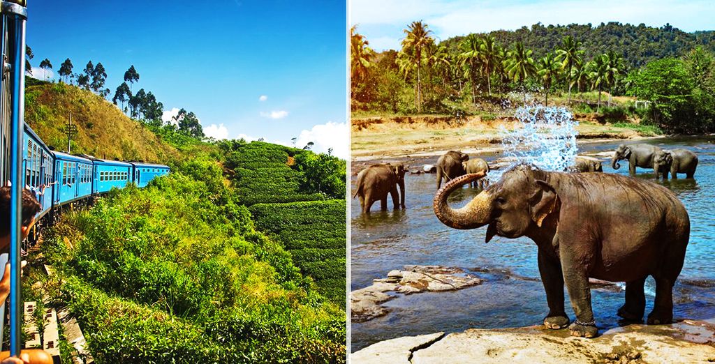 Tour alla scoperta dello Sri Lanka: da Colombo alla costa est