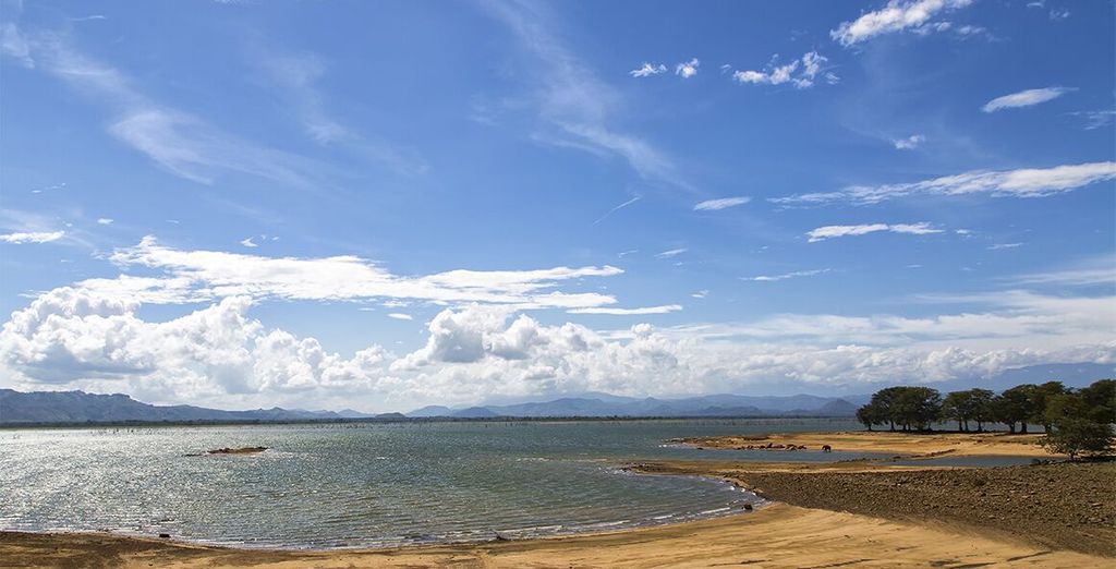 Tour alla scoperta dello Sri Lanka: da Colombo alla costa est