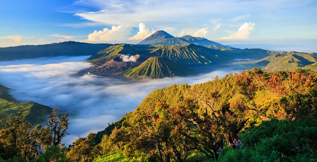 Ubud Village Monkey Forest Hotel 4* & Melia Bali 5*