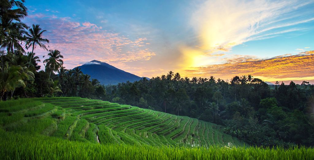 Ubud Village Monkey Forest Hotel 4* & Melia Bali 5*
