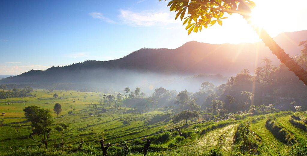 Ubud Village Monkey Forest Hotel 4* & Melia Bali 5*
