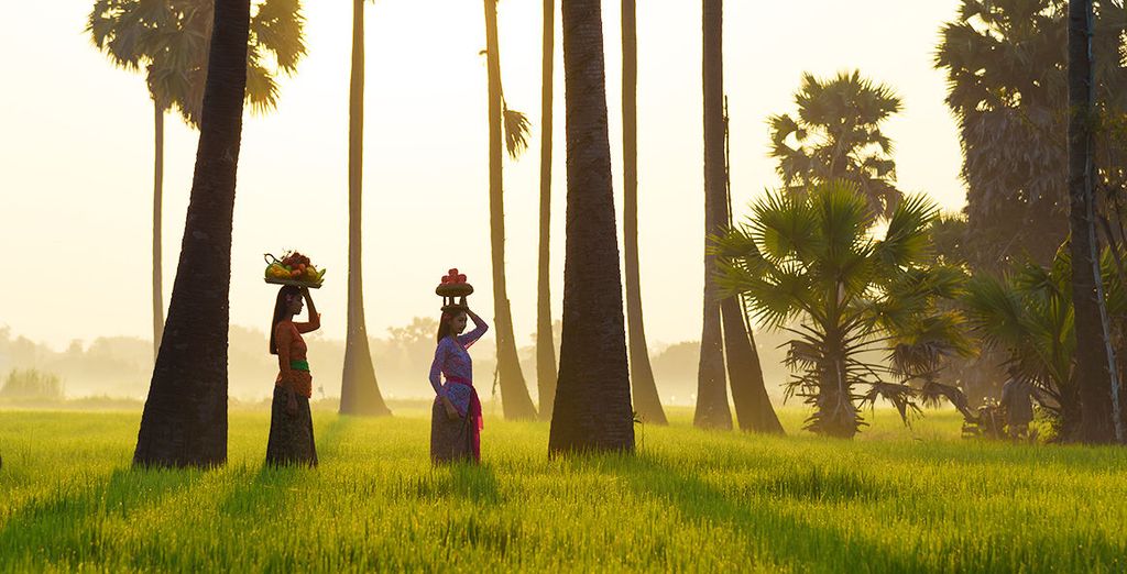 Ubud Village Monkey Forest Hotel 4* & Melia Bali 5*