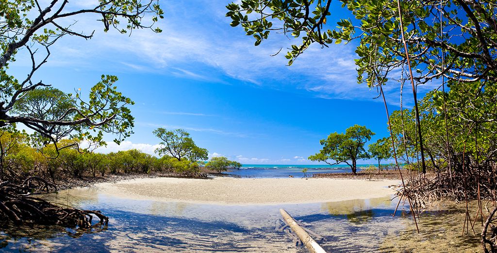 Il meglio dell'Australia in hotel 4*