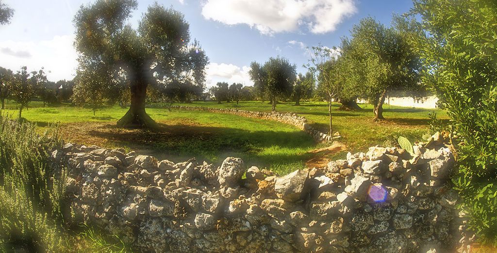 Città Bianca Country Resort 4*