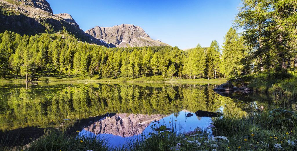 Villa di Bosco Hotel Apartments Wellness 4*