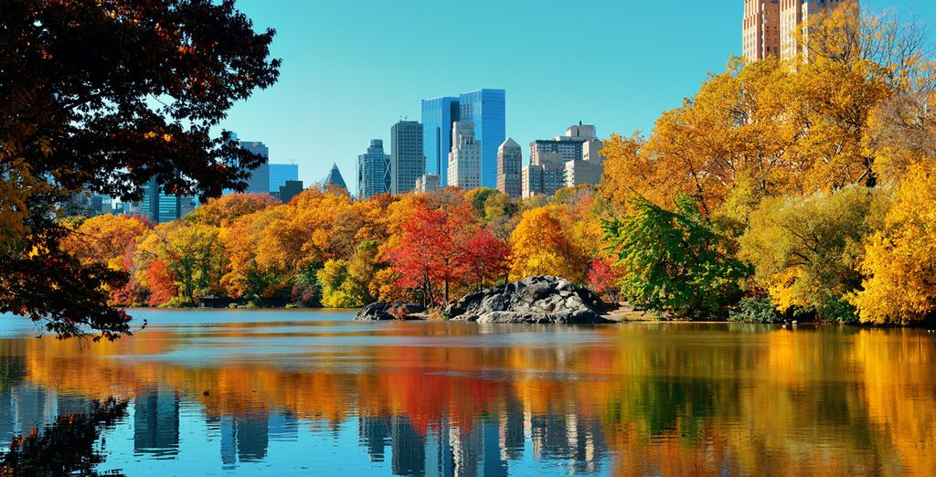 Four Points by Sheraton New York Downtown