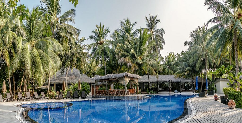 Mini Tour in Sri Lanka + Kihaa Maldives Resort & Spa 5*
