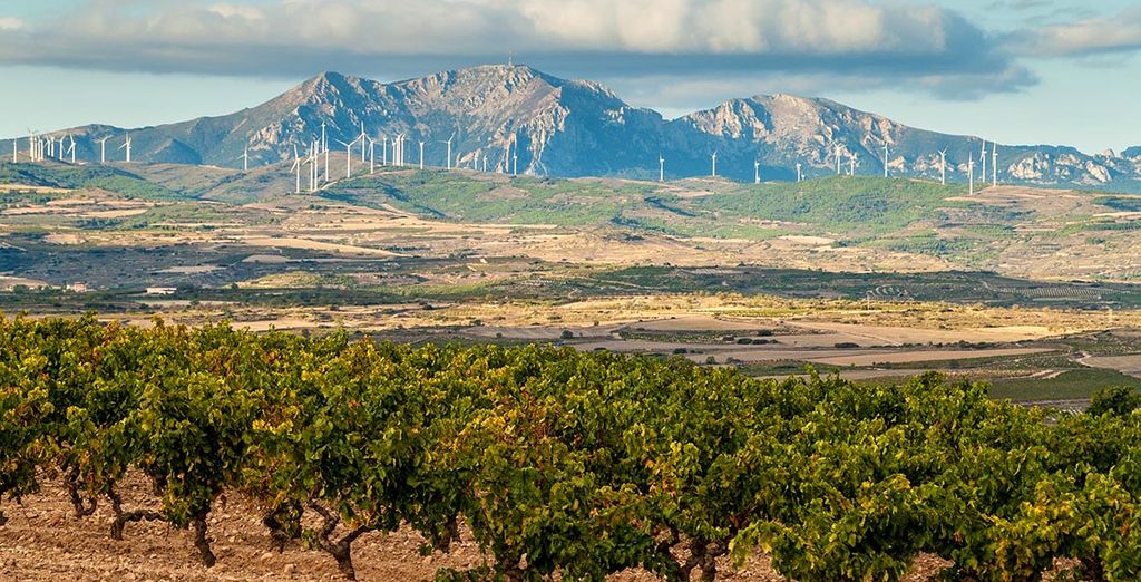 Tour con noleggio auto dei Paesi Baschi, La Rioja e Navarra