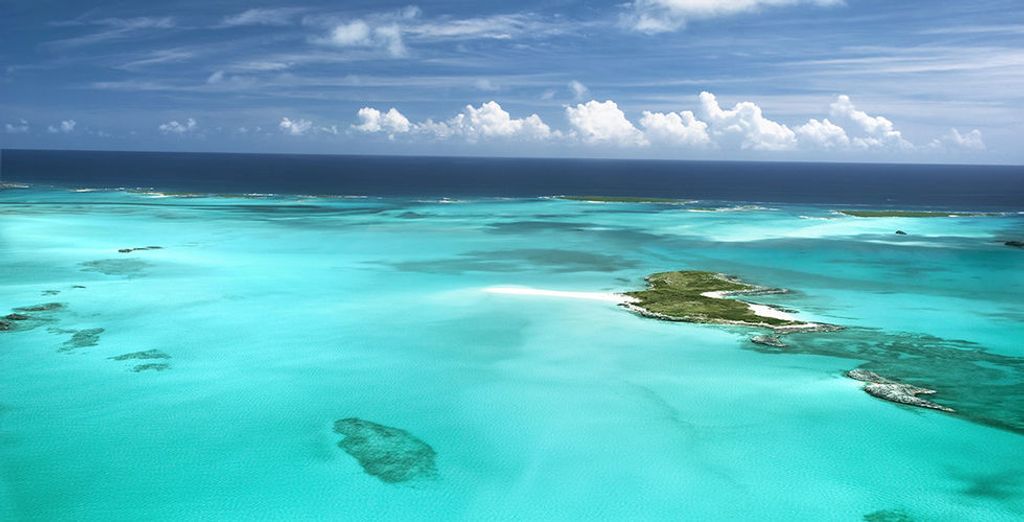 Pestana Miami South Beach 4* con possibile crociera alle Bahamas